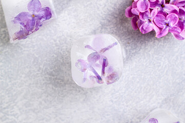 Lilac flower frozen in an ice cube. Flower iceberg. Refreshing ice flowers.