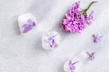 Lilac flower frozen in an ice cube. Flower iceberg. Refreshing ice flowers.