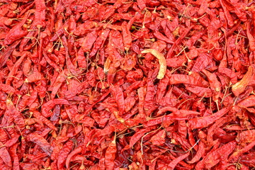 Close up of fresh dried red hot chilli peppers on display at local farmers' market. Background,...