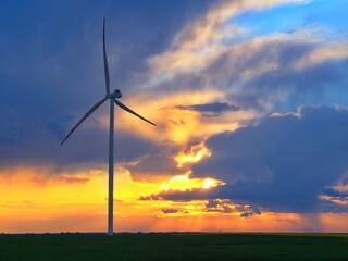 OLYMPUS DIGITAL CAMERA © rafalpiernikarczyk