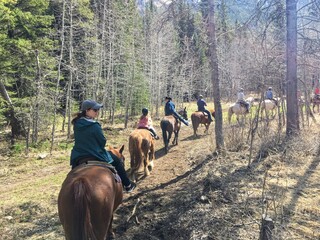A group of people riding horses during a guided tour in the forests of Kananaskis, in the Rocky...