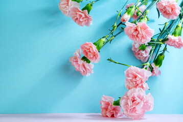 Pink carnations on a blue background. Abstract floral backdrop.