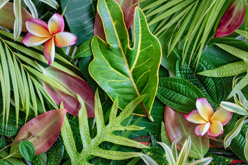Summer tropical mix green leaves and flower background, top view