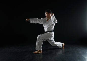 Male karate fighter in a combat stance