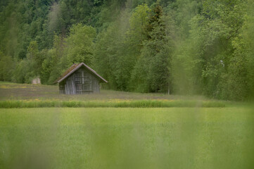 die hütte