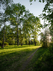 path in the park