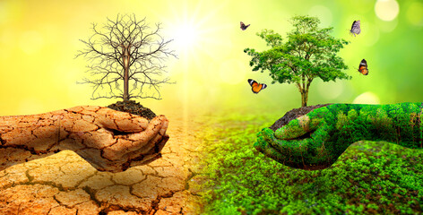 tree in two hands  with very different environments Earth Day or World Environment Day Global...