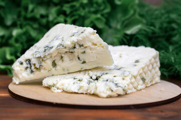 cheese with noble blue mold close-up on a background of greens.