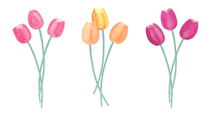 Spring tulips bouquet, abstract watercolor free-hand illustration for postcard, invitation, banner