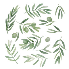 Obraz na płótnie Canvas Green olive leaves set. Olivaceous twigs, branches, Pronence greenery. Watercolor free-hand illustration for postcard, invitation, banner, event flyer, poster, presentation, menu, lifestyle