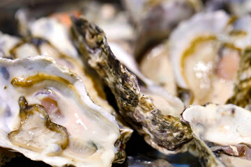 Oyster on ice