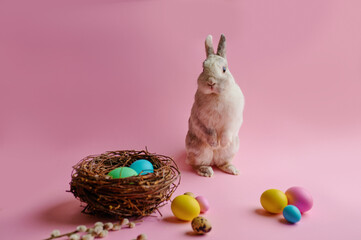 Colorful easter eggs and rabbit on pink background