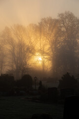 Sonnenaufgang, Friedhof, Dunst
