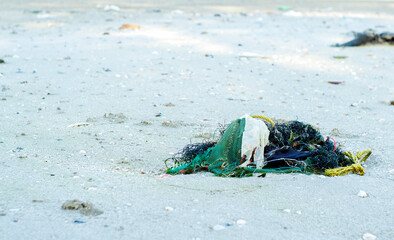 garbage on the beach