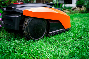 Lawn robot mows the lawn. Robotic Lawn Mower cutting grass in the garden.