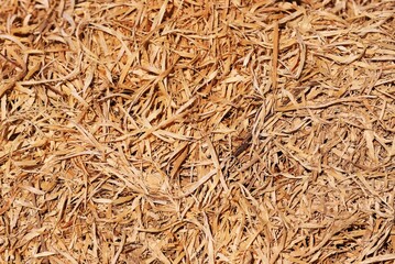 a close-up with wood sawdust