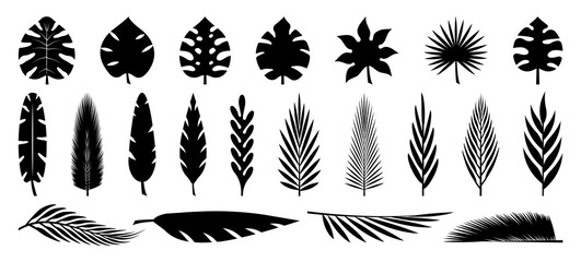 Fototapeta na wymiar Set of tropical leaves silhouettes. Collection palm leaves. Jungle exotic leaves and botanical plants. Vector illustration.