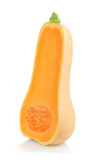 pumpkin butternut isolated on white.The entire image is sharpness.