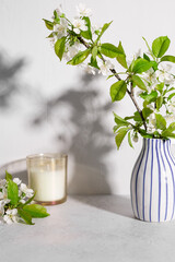 scented candle and cherry tree blossoms in vase on table. gray background with long shadows. Floral still life scene. Mockup design. vertical image.