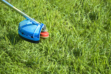 Process of cutting green grass with trimmer. Rotating head with red fishing line cuts grass. Gasoline powered mower. Close-up. Selective focus.