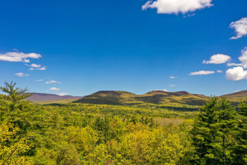 Catskill Landscape with blue sky and springtime foliage