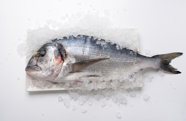 Dorada