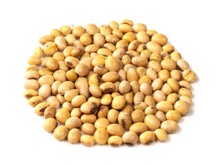 pile of dried soybeans closeup on white