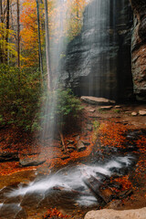 A waterfall known as Moore Cove Falls surrounded by scattered golden leaves and colorful fall foliage in Pisgah National Forest, Transylvania County "Land of Waterfalls", North Carolina, USA.
