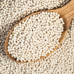 uncooked ptitim (pearl couscous) in spoon closeup