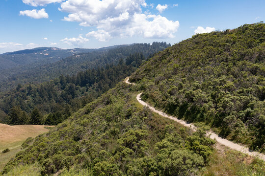 Trails meander through the vegetation-covered hills of the East Bay, just a few miles from San Francisco Bay in Northern California. This area provides open spaces for hikers and bikers. © ead72
