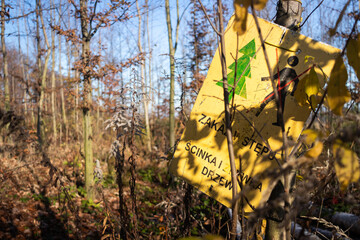 Znaki w lesie, zakaz wstępu, ścinka i zrywka drzew - obrazy, fototapety, plakaty