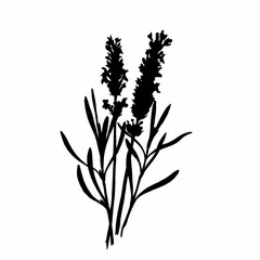 Single black leaf of isolated on white background. Ideal for printing home decor on canvas.