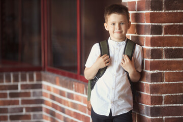 Smiling little boy 6-7 years old goes to school in uniform and backpack