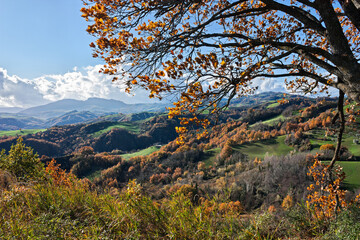 Sogliano al Rubicone, Forli-Cesena, Emilia-Romagna, Italy: autumnal landscape of the green hills on the slopes of the Apennine mountains