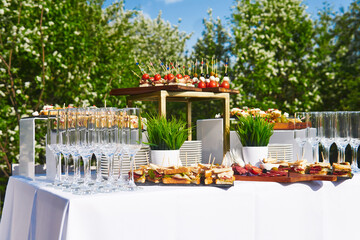 buffet in the open air - canapes and glasses against the background of flowering trees and the sky