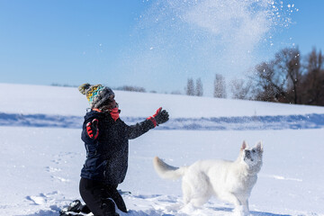 Pies w śniegu, biały owczarek szwajcarski zimą, zabawa - obrazy, fototapety, plakaty