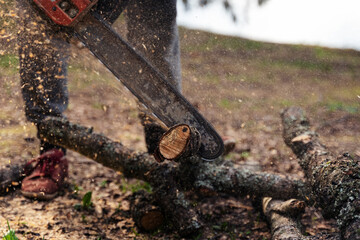 A man sawing wooden logs with a chainsaw in the forest with flying shavings, close up