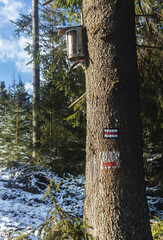 Góry zimą, najpiękniejsze widoki