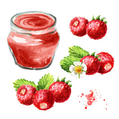 Organic fruit jam set. Glass jar of  Wild forest strawberries marmalade and fresh berries with green leaf. Watercolor hand drawn illustration isolated on white background
