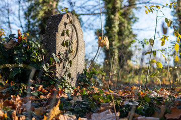 Stare groby, zapomniany cmentarz jesienią - obrazy, fototapety, plakaty
