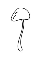 Hand drawn mushroom. Vector illustration.