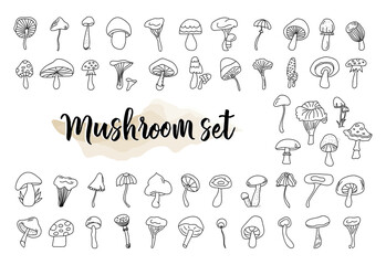 50 MUSHROOMS clipart, fungus set, mushroom vector, fungi silhouette, print file, mushroom organic clipart © Светлана Кокорина