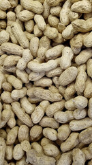 Peanuts are unpeeled. background and texture. agriculture.