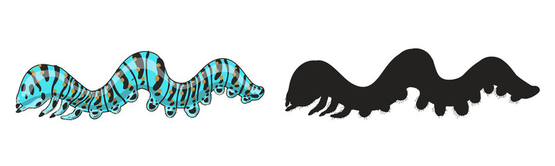 
Set of two caterpillars in cartoon style and black silhouette. The caterpillar is blue with black stripes and orange dots. Stock vector illustration isolated on white background