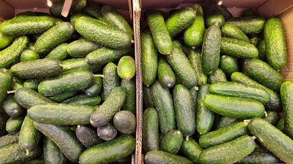 cucumbers in a box. top view. selling fruit and vegetables in the supermarket.