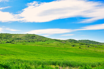 green field and blue sky with clouds