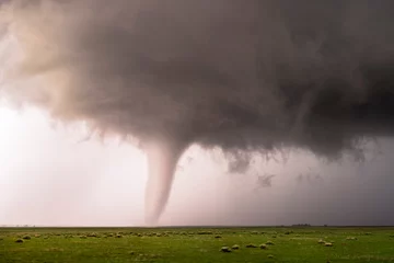 Fotobehang A tornado spawns from a thunderstorm in a rural setting during the day. There funnel is very visible with a green meadow full of grass in the foreground. © Scott Book