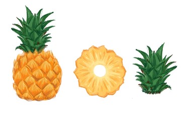 ripe deliciously useful fruit pineapple in the process of consumption illustration 
