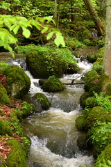 Kleiner Wasserfall im frühlingshaften Laubwald