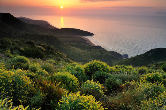 Parque Regional de Calblanque 